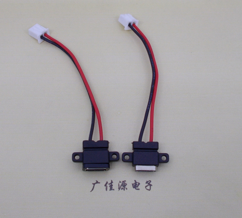 宁夏简易type c2p防水母座注塑成型带双螺丝孔焊线式带线带接线端子单充电功能