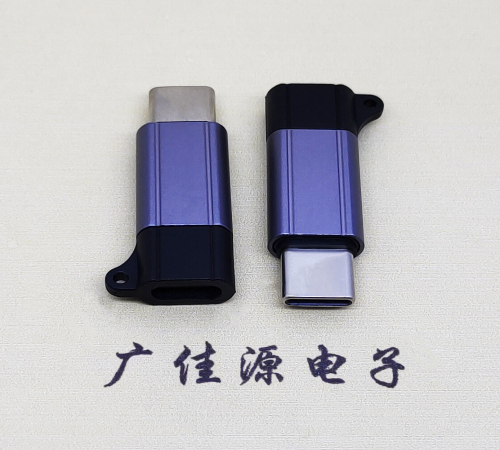 宁夏Type-C母转Type-C公 USB3.1 PD100W快冲接口